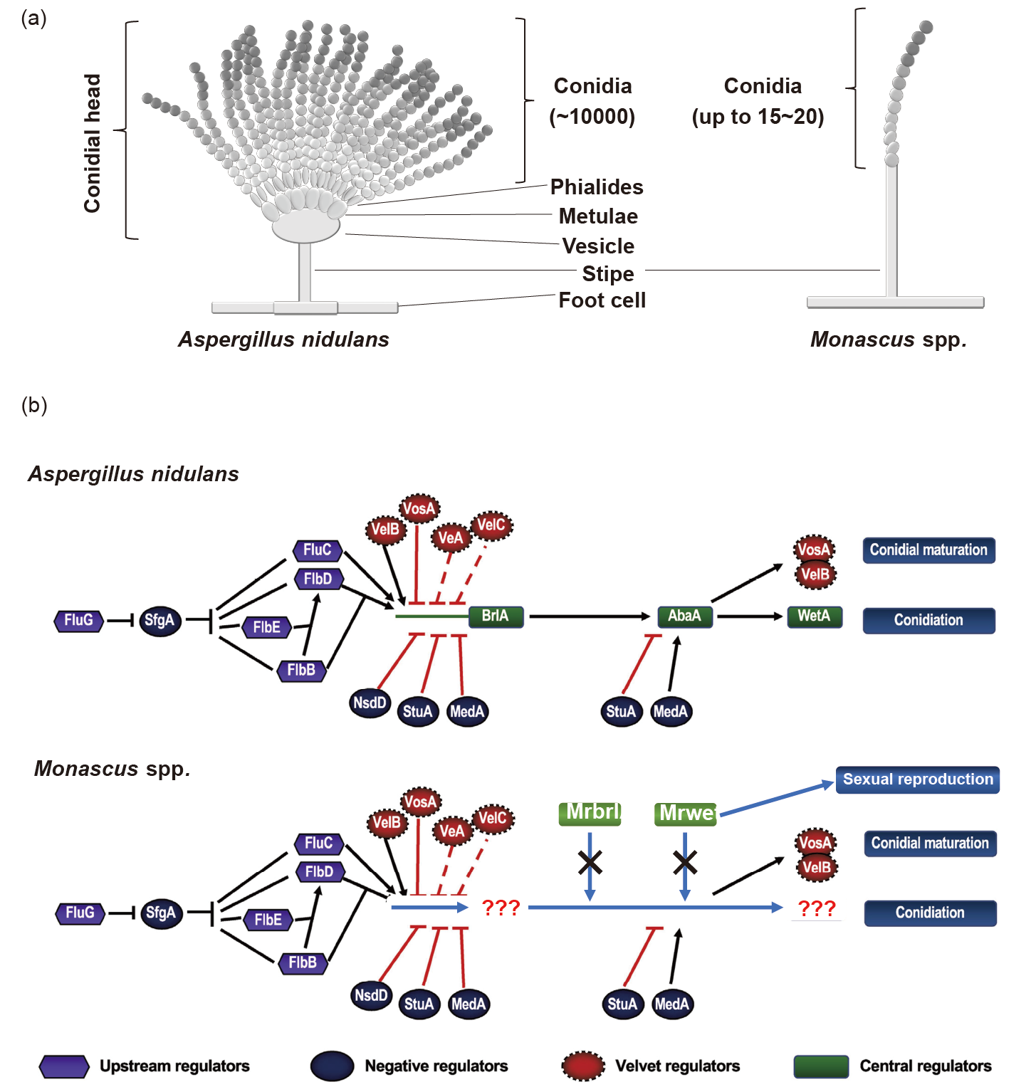 figures-76bfbf7651e248fdaa2cd9fad2dc0485-TB-2022-0736-t1